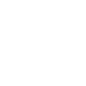 logo_flat_portfolio_white